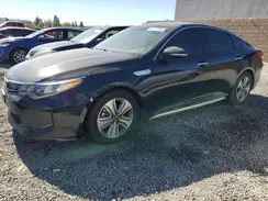 KNAGU4LCXH5004570 2017 KIA OPTIMA