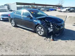 KNAGU4LE0K5031916 2019 KIA OPTIMA