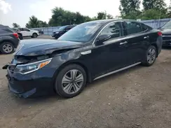 KNAGU4LE0K5032581 2019 KIA OPTIMA