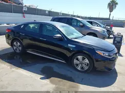 KNAGU4LE1H5013904 2017 KIA OPTIMA