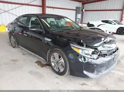 KNAGU4LE5H5016627 2017 KIA OPTIMA