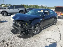 KNAGU4LE8L5041529 2020 KIA OPTIMA