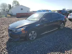 KNAGU4LE9H5011320 2017 KIA OPTIMA