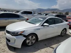 KNAGU4LE9H5013570 2017 KIA OPTIMA