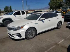 KNAGU4LE9L5040924 2020 KIA OPTIMA