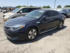 KNAGV4LD4H5007342 2017 KIA OPTIMA