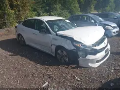 KNAGV4LD4H5009978 2017 KIA OPTIMA
