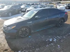 KNAGV4LD4H5010905 2017 KIA OPTIMA