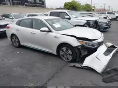 KNAGV4LD5K5031981 2019 KIA OPTIMA