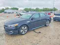 KNAGV4LD7H5018075 2017 KIA OPTIMA