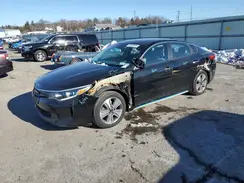 KNAGV4LD8H5013953 2017 KIA OPTIMA