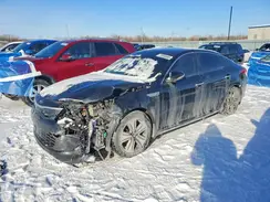 KNAGV4LD8H5017291 2017 KIA OPTIMA