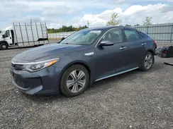 KNAGV4LDXH5017891 2017 KIA OPTIMA
