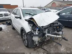 KNDCE3LG4K5010187 2019 KIA NIRO