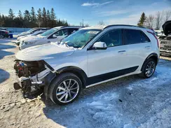 KNDCT3L19R5083566 2024 KIA NIRO