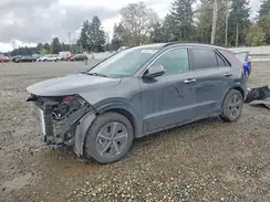 KNDCT3LE4R5131560 2024 KIA NIRO