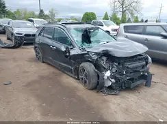 KNDCT3LE8S5232686 2025 KIA NIRO