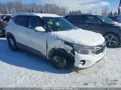 KNDEPCAA7S7702319 2025 KIA SELTOS