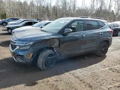 KNDERCAA0R7501303 2024 KIA SELTOS