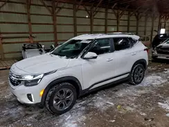 KNDEUCAA1R7526810 2024 KIA SELTOS
