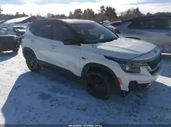 KNDEUCAA4M7101249 2021 KIA SELTOS