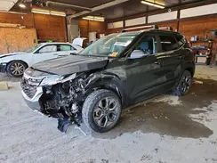 KNDEUCAA9R7550238 2024 KIA SELTOS