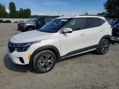 KNDEUCAAXR7501002 2024 KIA SELTOS