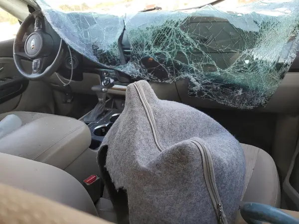 KNDMB5C10K6509826 2019 KIA SEDONA - Image 8