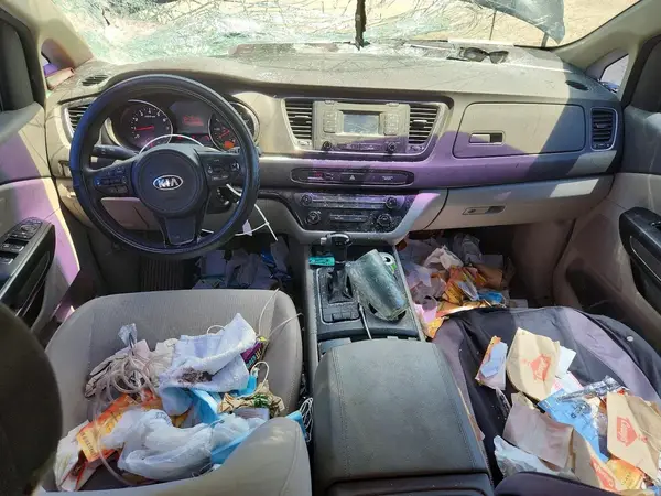 KNDMB5C1XH6228447 2017 KIA SEDONA - Image 8