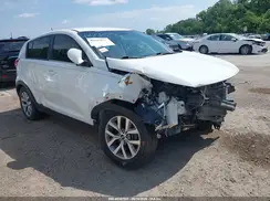 KNDPB3AC0G7795037 2016 KIA SPORTAGE