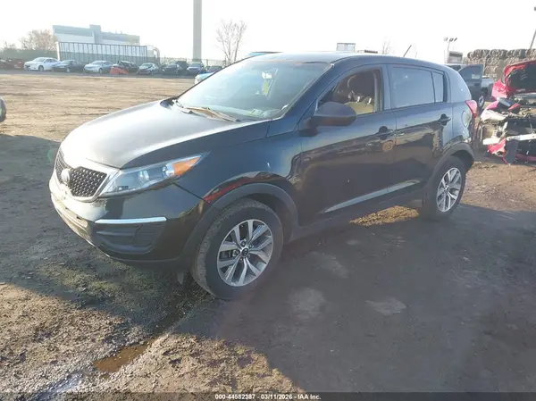 KNDPB3AC1G7808202 2016 KIA SPORTAGE - Image 2
