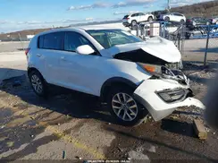 KNDPB3AC7G7844556 2016 KIA SPORTAGE