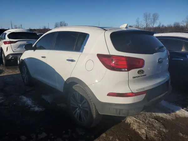 KNDPC3AC2G7876229 2016 KIA SPORTAGE - Image 2