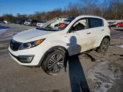 KNDPCCAC1G7834103 2016 KIA SPORTAGE