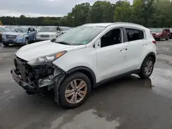KNDPM3AC1H7160422 2017 KIA SPORTAGE