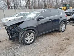 KNDPM3AC1K7592418 2019 KIA SPORTAGE