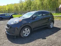 KNDPM3AC3K7609736 2019 KIA SPORTAGE