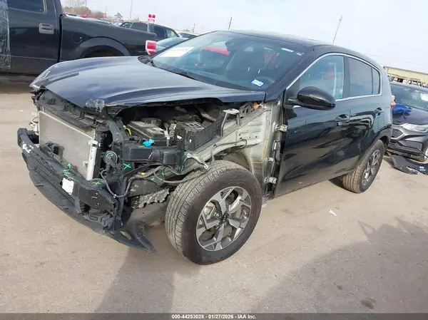 KNDPM3AC3N7953054 2022 KIA SPORTAGE - Image 2