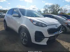 KNDPM3AC4N7948736 2022 KIA SPORTAGE