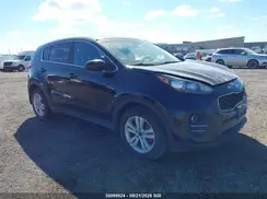 KNDPM3AC5H7236756 2017 KIA SPORTAGE