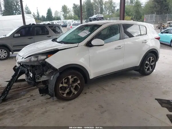 KNDPM3AC6L7688398 2020 KIA SPORTAGE - Image 2