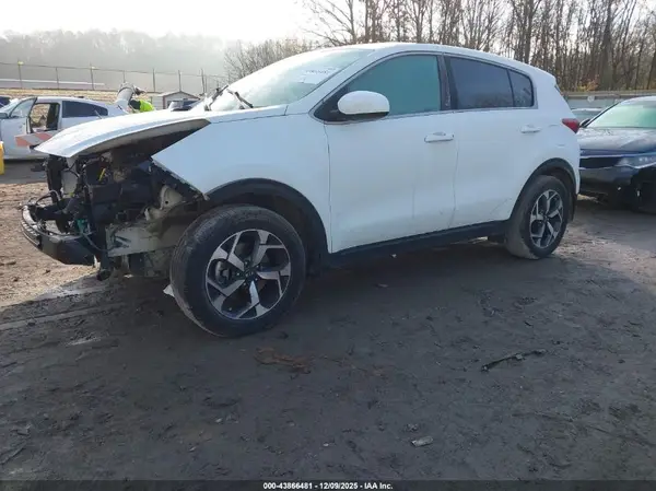 KNDPM3AC7L7822237 2020 KIA SPORTAGE - Image 2