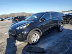 KNDPMCAC7H7085550 2017 KIA SPORTAGE