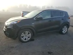 KNDPMCAC7H7253705 2017 KIA SPORTAGE