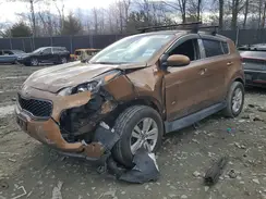 KNDPMCAC7H7291029 2017 KIA SPORTAGE