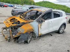 KNDPMCAC7H7293735 2017 KIA SPORTAGE