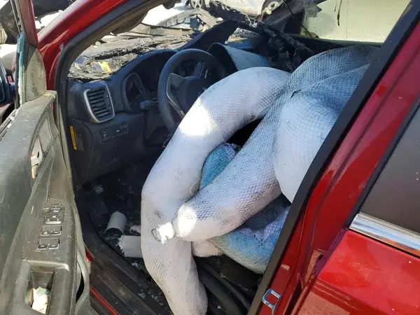 KNDPMCAC7L7771595 2020 KIA SPORTAGE - Image 8