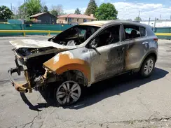 KNDPMCAC8H7219739 2017 KIA SPORTAGE