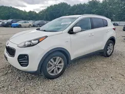 KNDPMCAC8H7241336 2017 KIA SPORTAGE
