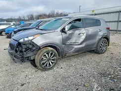 KNDPN3AC5H7193159 2017 KIA SPORTAGE